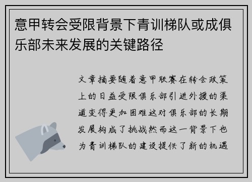 意甲转会受限背景下青训梯队或成俱乐部未来发展的关键路径