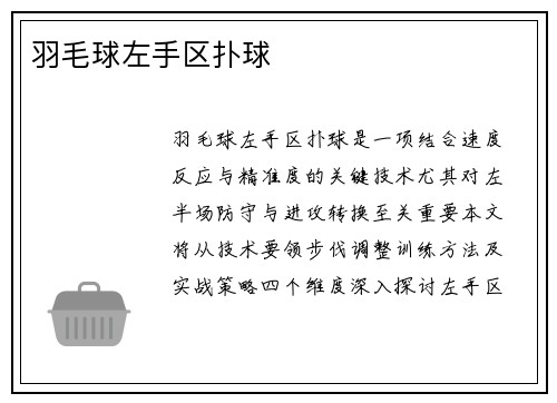 羽毛球左手区扑球